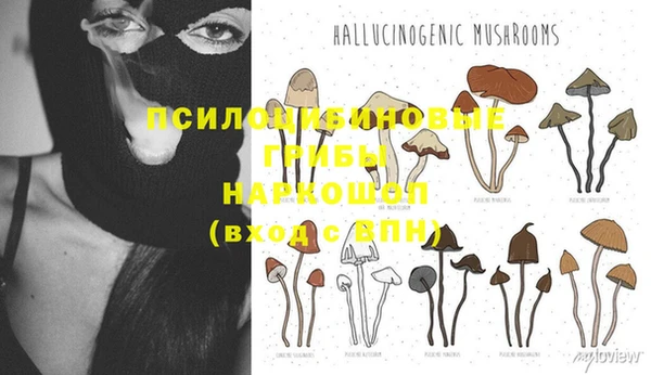 spice Балахна