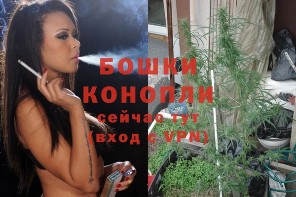 spice Балахна